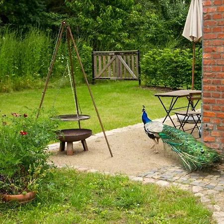Oasis Of Peace Near The Σπίτι διακοπών Kloster Tempzin