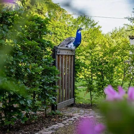 Oasis Of Peace Near The * Kloster Tempzin